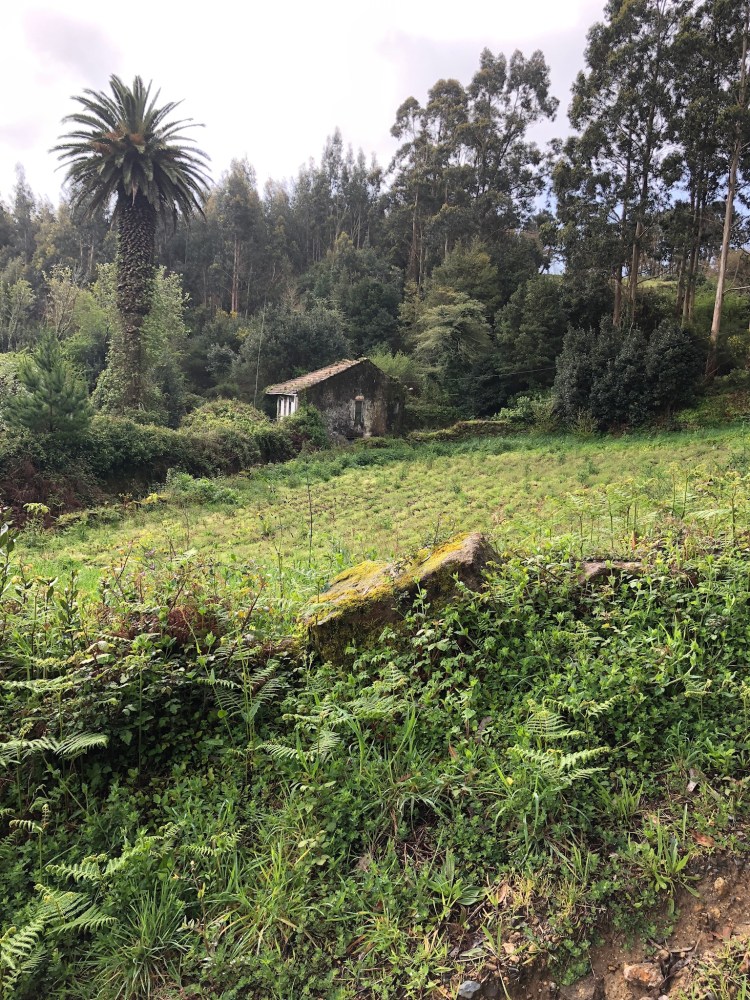 F87B0C3E-1F16-4FA8-BC3F-DFB49C747E8F